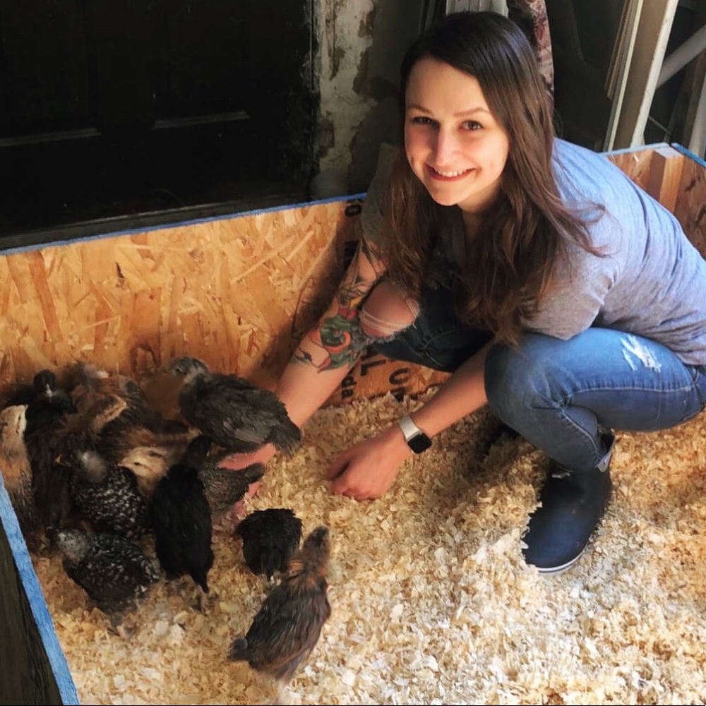 Meet your Posher, Haylie